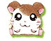 hamster
